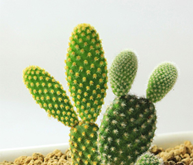 南宁新房除甲醛 南宁新房除甲醛