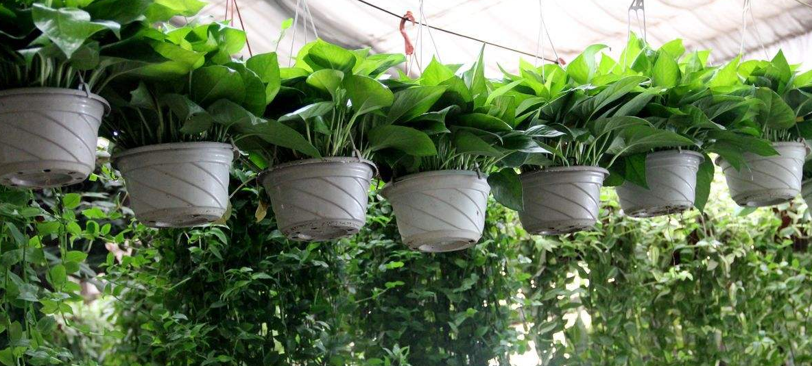 1539335693140709.png 1539335693140709.png