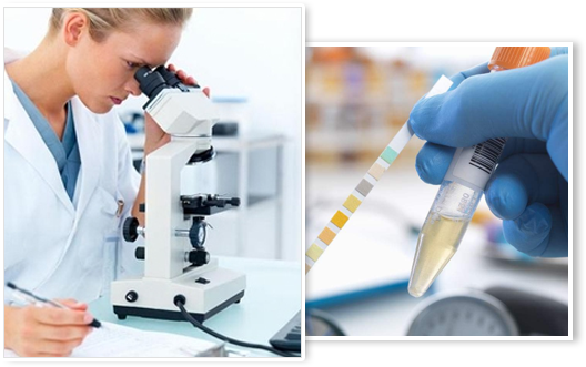 南宁新房除甲醛