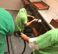 甲醛国家检测 甲醛国家检测